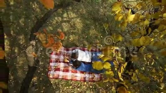 躺在秋树下的夫妇视频
