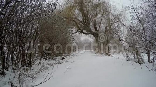 冬天，冬天公园里下雪。 雪地里的路和树。视频