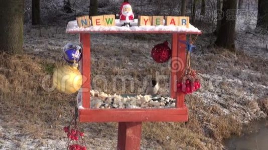 圣诞新年装饰的喂鸟器和饥饿的野鸟视频