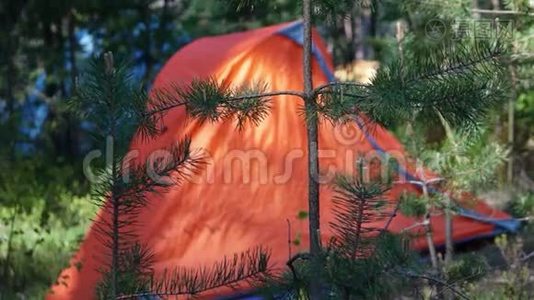 在林间空地上露营帐篷视频