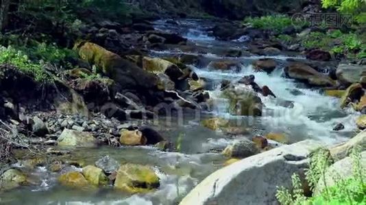 小山河。 景观，溪流在岩石和树木之间流动视频