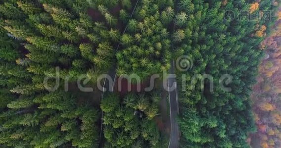 空中俯视汽车行驶在簪弯转弯路上的乡村秋林。 橙色，绿色视频