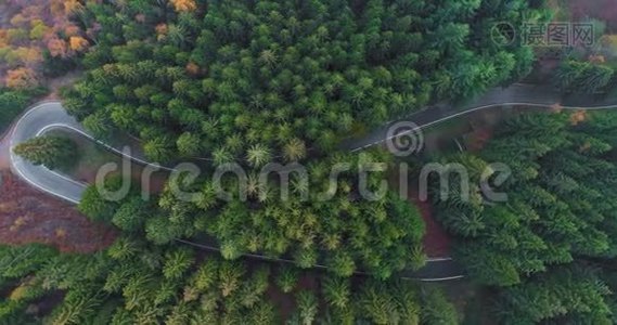 空中俯视汽车行驶在簪弯转弯路上的乡村秋林。 橙色，绿色视频