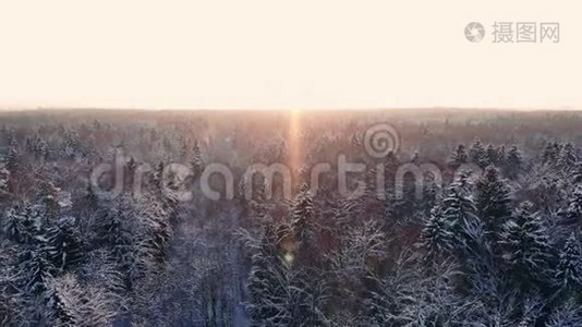 冬季森林的空中飞行。 在白雪皑皑的森林中飞翔，太阳落山，白雪皑皑视频