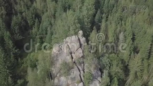 石岩Ternoshors kaLada在美丽的喀尔巴阡山森林中。 科索沃地区，伊万诺-视频