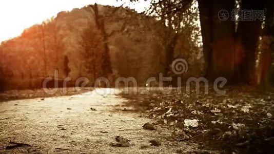 明亮温暖的镜头：快乐的小男孩带着雨伞在秋天的公园里跳跃视频