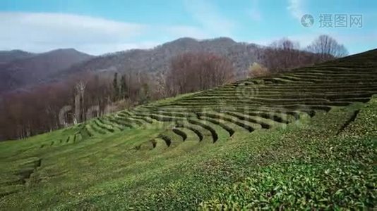 山上农场的鸟瞰图视频