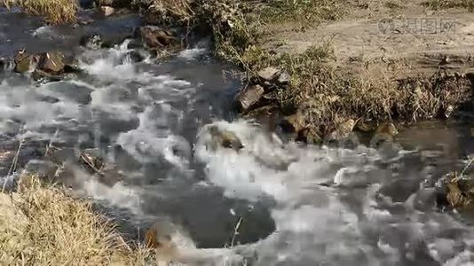 河流景观。 底部有岩石的小河。 快速小溪。视频