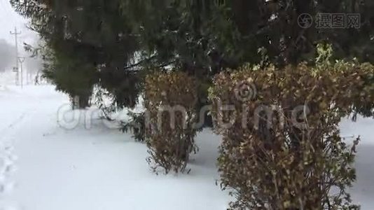 天气异常€“秋季暴风雪”视频