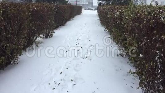 天气异常€“秋季暴风雪”视频