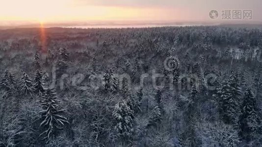 冬季森林的空中飞行。 在白雪皑皑的森林中飞翔，太阳落山，白雪皑皑视频