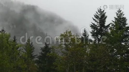 斯洛文尼亚洛加尔斯卡多利纳，低云的高山河谷雨天视频