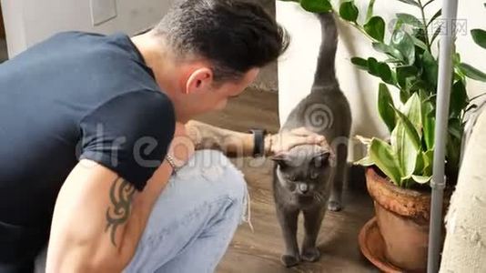 英俊的年轻人拥抱他的灰猫宠物视频