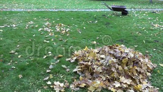 秋天公园草地上一堆干的五颜六色的叶子和空的手推车。 4K视频