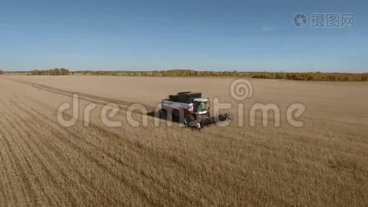 农用收割机和带空钻小麦麦田视频