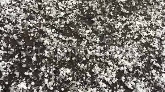 大雪花落在树桩上视频