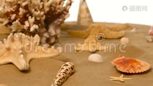 带贝壳和海星的桑迪背景，白色，旋转视频