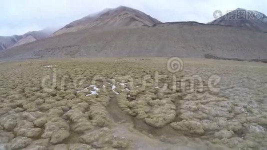 喜玛拉雅山公路靠近唐朗拉山口的空中公路-喜马拉雅山公路。 拉达克，印度。视频