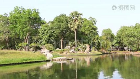 宁静的花园有湖景，水，树木，灌木和风影响树叶。视频