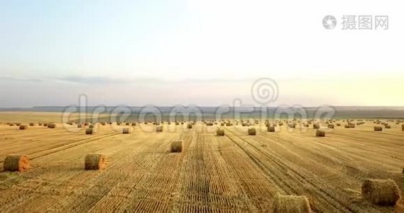 飞在一捆捆干草的金色田野上。 惊人的平坦收获和农业领域的黄金秸秆视频