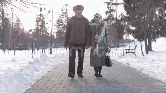 老人夫妇在公园的冬天放松。 快乐的祖父和祖母一起散步视频