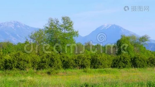 春天来临，地中海绿色草地森林，雪冰山视频