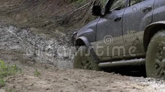 远征越野车在肮脏的道路上缓慢地穿过树林。视频