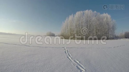 在阳光明媚的霜天雪上踏足，时间流逝4K视频