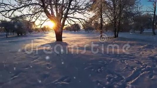 下雪了。 冬天的森林覆盖着雪。 空中镜头。视频