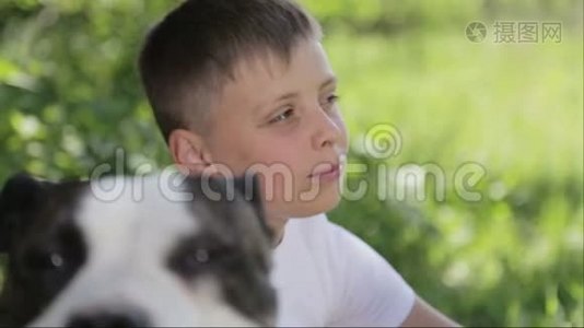 公园里有斯塔福德郡的一个男孩。 特写一个带狗的孩子的肖像。视频