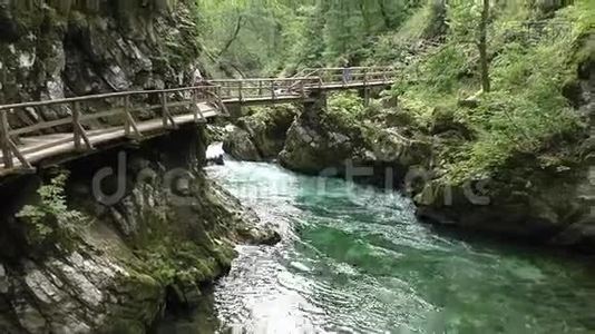 文塔峡谷，拉多夫纳河，斯洛文尼亚144308视频