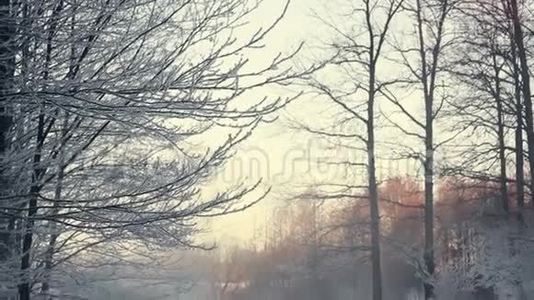 冬季景观。 冬天森林里的雪景，结冰的河上有雾视频