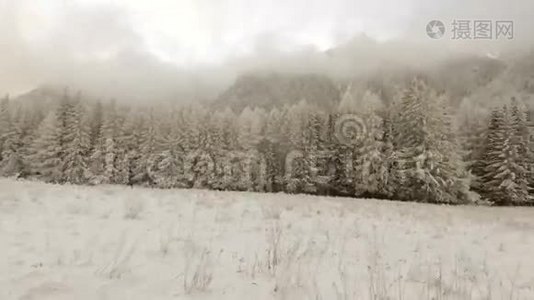 多雾天气下的冬林.视频