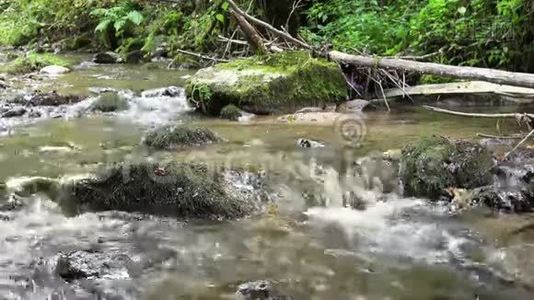 充满石头和声音的狂野河流视频