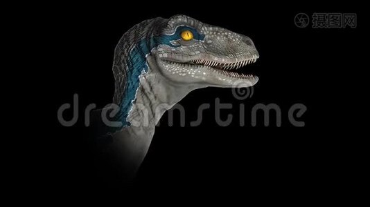 维罗西龙蓝-侏罗纪打开了嘴视频