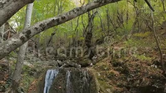 美丽独特的比加尔瀑布在罗马尼亚视频