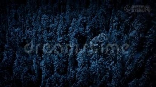 黑暗中冰冻森林的鸟瞰图视频