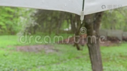 雨滴伞视频