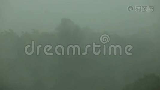 大雨和风摇动着树。 飓风。视频