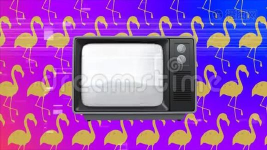旧的电视帖子显示，粉红色的火烈鸟周围的电视嘶嘶声条视频