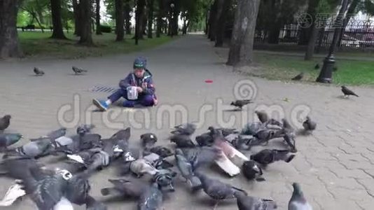 男孩在人行道上的公园里喂城市鸽子。视频