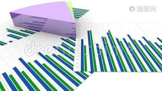 金融饼动画，图表增长，丰富多彩的收入分配图视频
