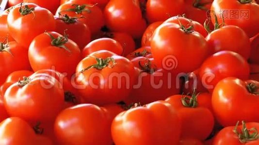 街市集配番茄展示视频