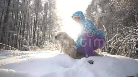 壮观的慢动作接近女人和狗跑。 基本上是腿。 金毛猎犬。视频