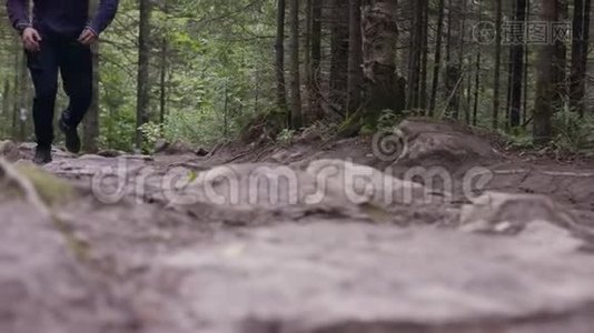 年轻的健康人在树林里奔跑。 在树林里跑步的年轻运动员视频