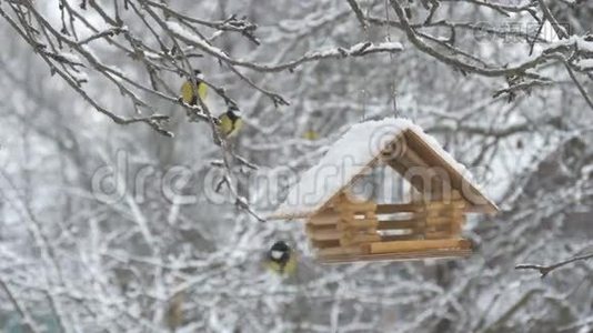 鸟儿飞到喂食器前，拿起粮食飞走了，雪落在树上，雪花飘落在鸟舍里视频