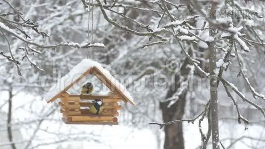 鸟儿飞到喂食器前，拿起粮食飞走了，雪落在树上，雪花飘落在鸟舍里视频