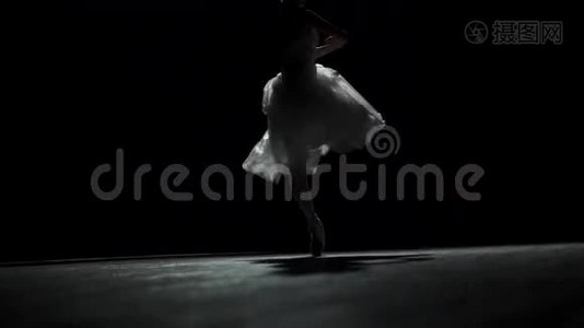 古典芭蕾舞团芭蕾舞演员剪影视频