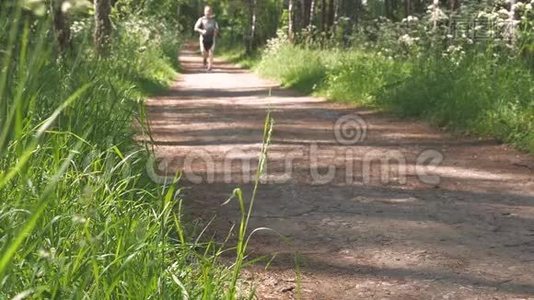 男运动员，过健康的生活方式.. 他夏天在公园里跑步。视频