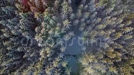 白雪皑皑的冬天，美丽无声的风景视频